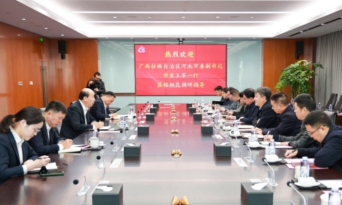 广西壮族自治区河池市委副书记、市长王军莅临南宫电子游戏