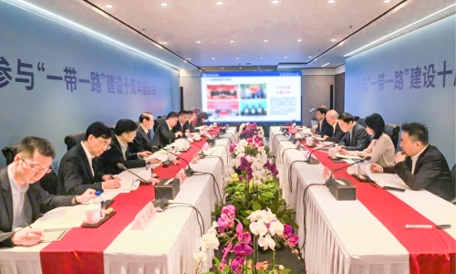 浙商参与“一带一路”建设10周年座谈会召开，陈蕾董事长受邀参会并作主题发言