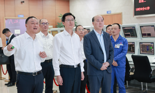 嘉兴市委书记陈伟莅临南宫电子游戏嘉兴石化调研