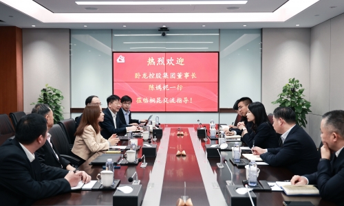 卧龙控股集团董事长陈嫣妮一行到访南宫电子游戏