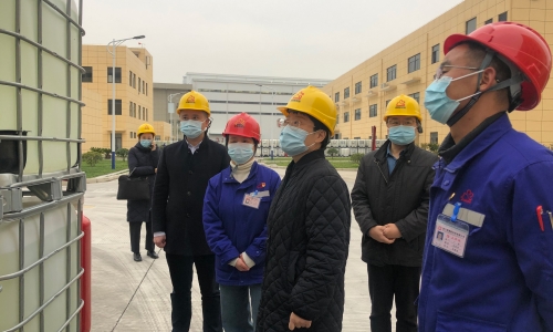 海盐县委副书记、代县长顾秋莉莅临南宫电子游戏恒翔调研