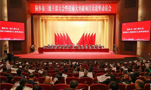 开年即开跑丨桐乡市三级干部大会上南宫电子游戏获多项荣誉表彰！