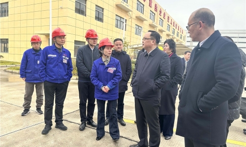 嘉兴市人民政府副市长戴锋莅临南宫电子游戏恒翔调研