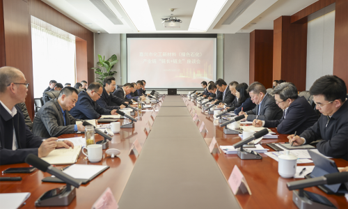 坚持“四化”发展，共话新质生产力丨南宫电子游戏集团董事长受邀参加嘉兴市化工新材料（绿色石化）产业链“链长+链主”座谈会！