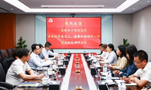 浙江省财政厅党组成员，省金控党委书记、董事长杨强民莅临南宫电子游戏调研