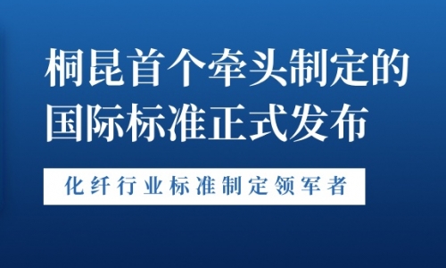 新突破！南宫电子游戏首个牵头制定的国际标准正式发布！