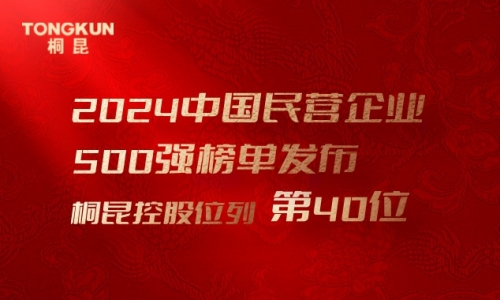 首进前50！南宫电子游戏，中国民营企业500强第40位！