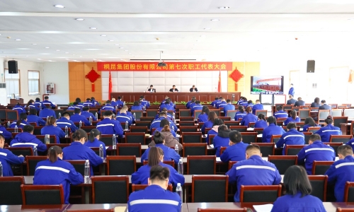 南宫电子游戏集团第七次职工代表大会胜利召开，公司治理迈入新阶段！