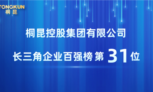 南宫电子游戏，2025长三角企业百强第31位！